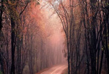 场面温馨！世界大奖赛宾汉姆被罗伯逊横扫后，亲.