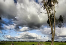 PG游戏：中国女排公开选聘主教练2025-03-19.