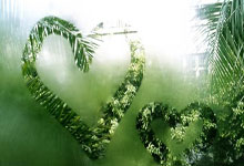 PG游戏：浓眉：作为球队领袖之一 只要恢复健康我就会上场.